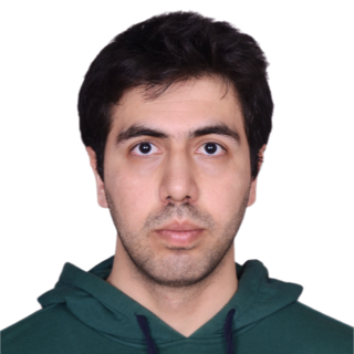 Portrait of Mehmet Yayvan